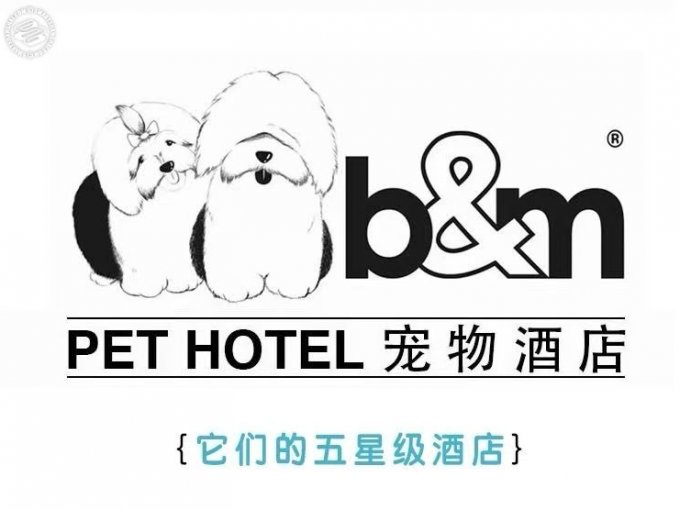 B&M Pet Hotel  on SmartShanghai