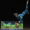 A Flexitarian - Experimental Theatre on SmartShanghai