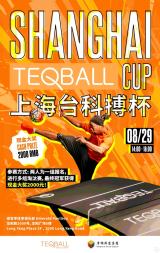 Shanghai Teqball Cup