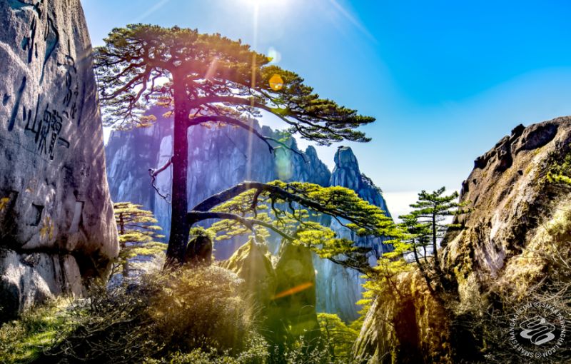 Yellow Mountain & Hongcun Village