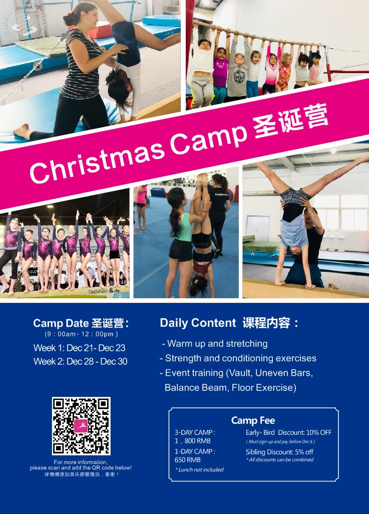 Gymnastics Christmas Camp