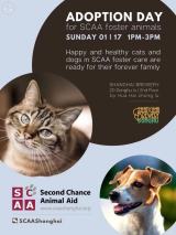 SCAA Adoption Day