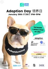 Spare Leash Adoption Day