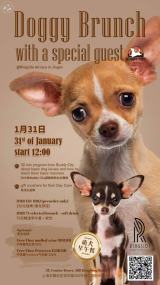 Doggy Brunch at Ringside Terrace