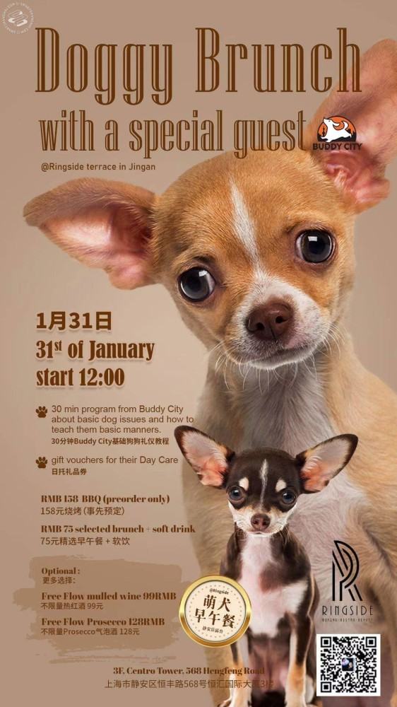 Doggy Brunch at Ringside Terrace