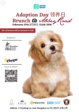 Adoption Day Brunch