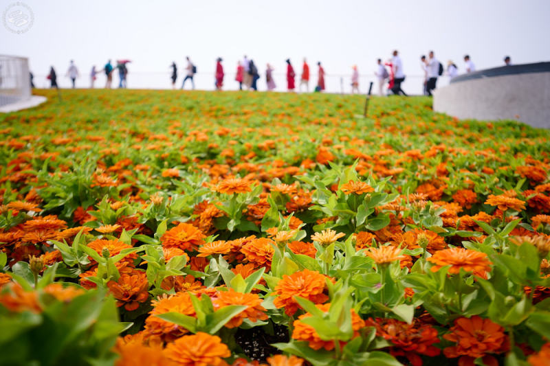 The Tenth China Flower Expo
