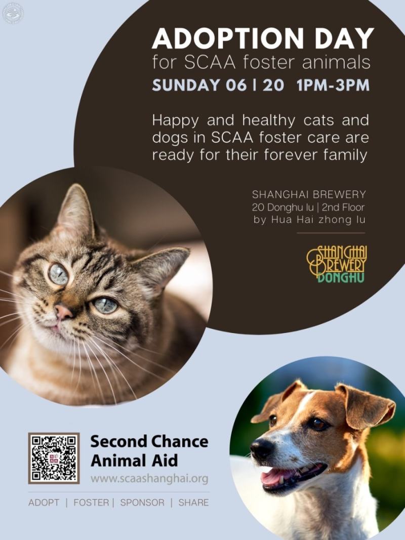 SCAA Adoption Day