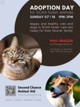 SCAA Adoption Day