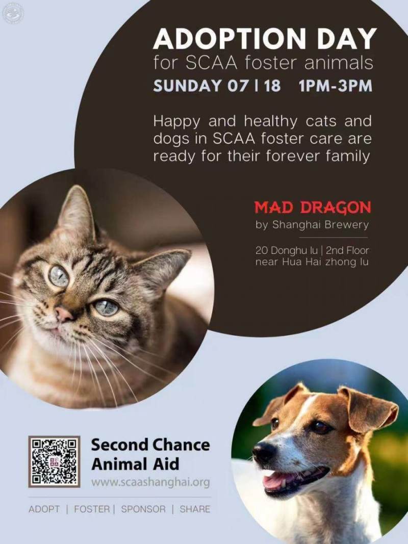 SCAA Adoption Day
