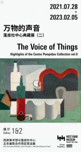 The Voice of Things