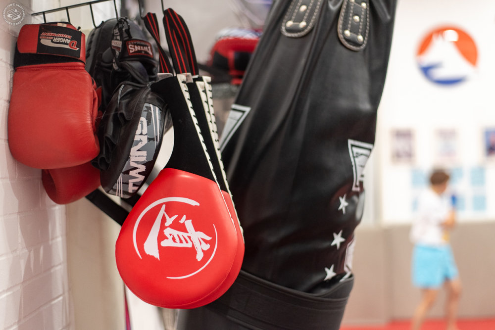 Yoseikan Budo and Mixed Martial Arts