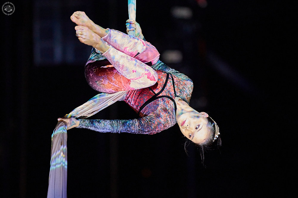 Something for Everyone