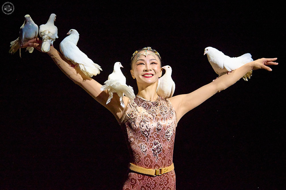 Fantastic Aerial Performances