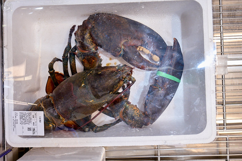 Most Colossal Lobster