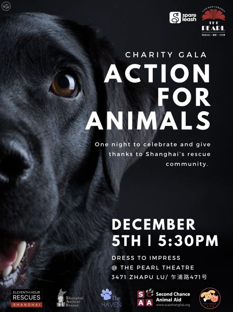 Action for Animals Charity Gala 