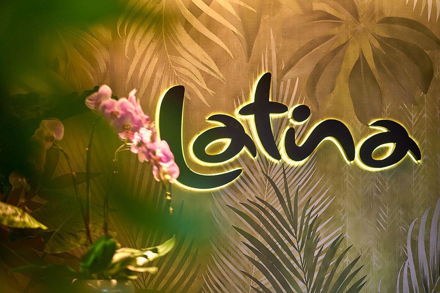 Latina Brazilian Steakhouse (A La Town) - 3