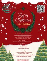 3 in 1 Christmas Holiday Package