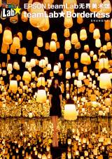 teamLab Borderless Shanghai Tickets