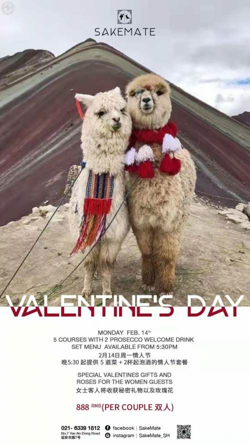Valentine's Dinner