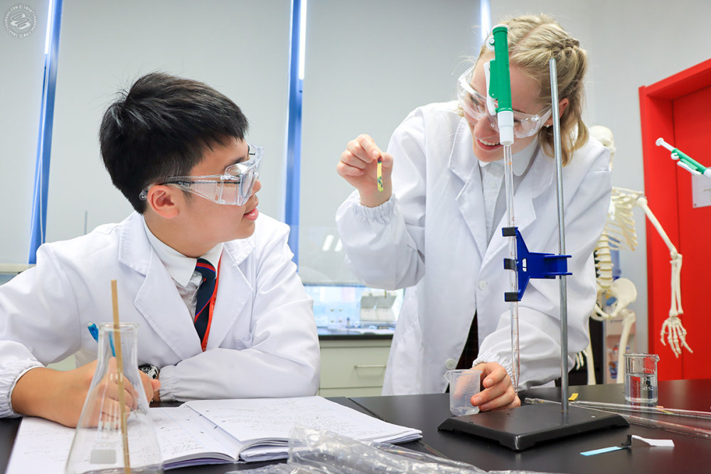 Dulwich College has little DUCKS!