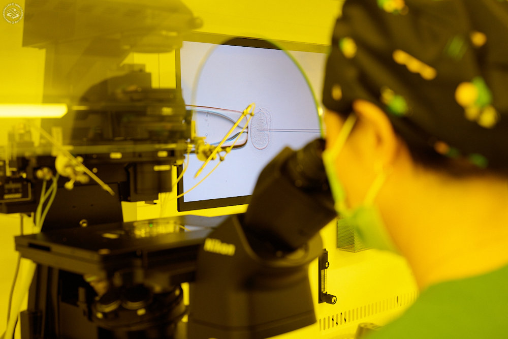 The Miracle of Life...