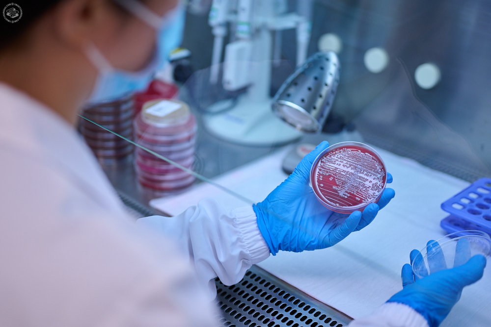 Tomorrow's Doctors and Researchers