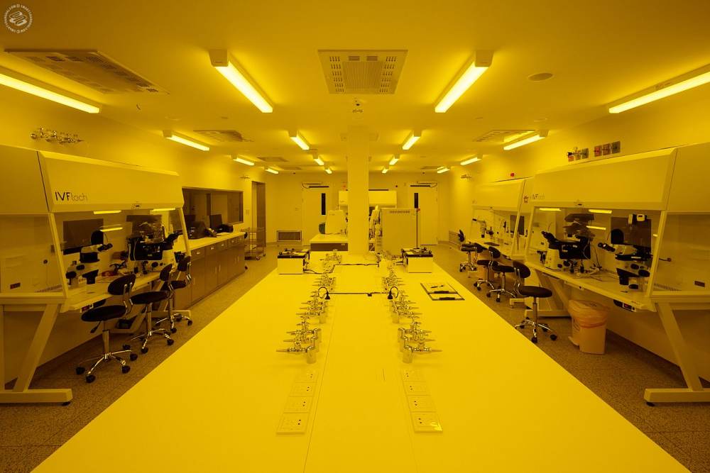 Inside the In Vitro Fertilization Laboratory