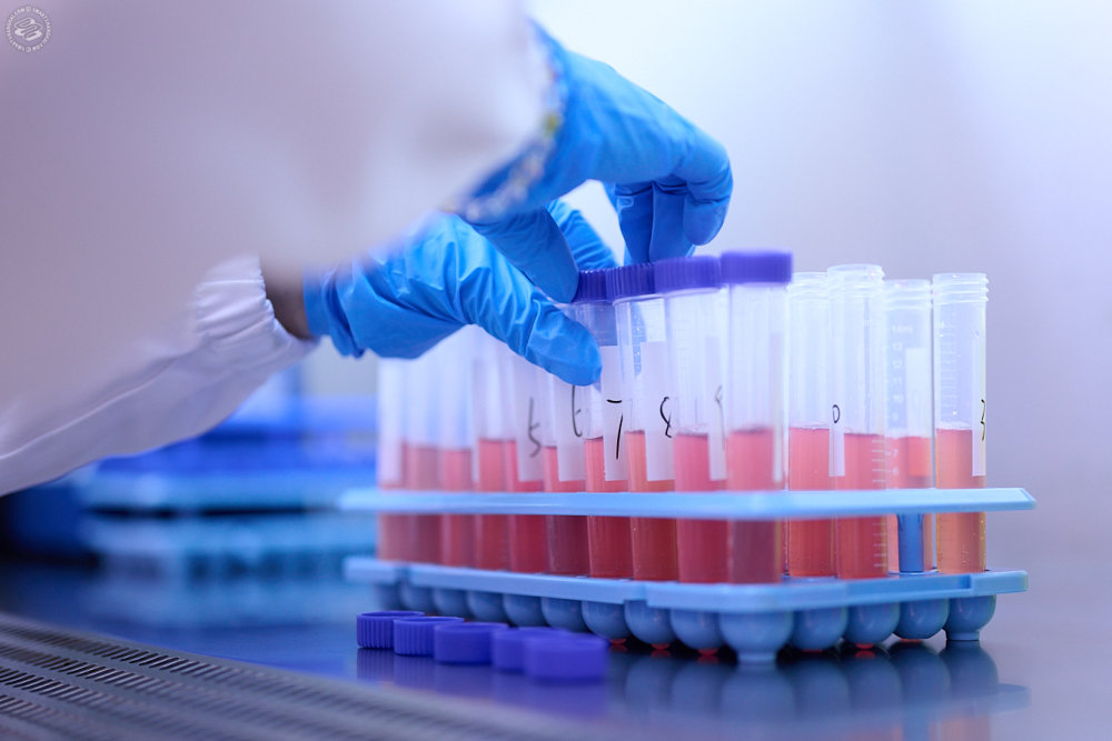 Inside Jiahui International Hospital's Central Laboratory