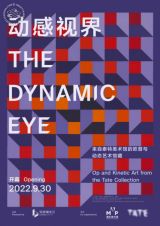 The Dynamic Eye