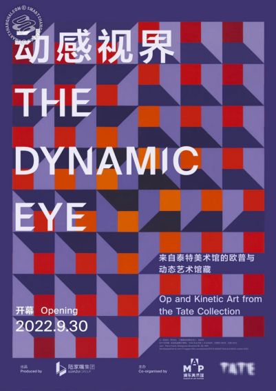 The Dynamic Eye