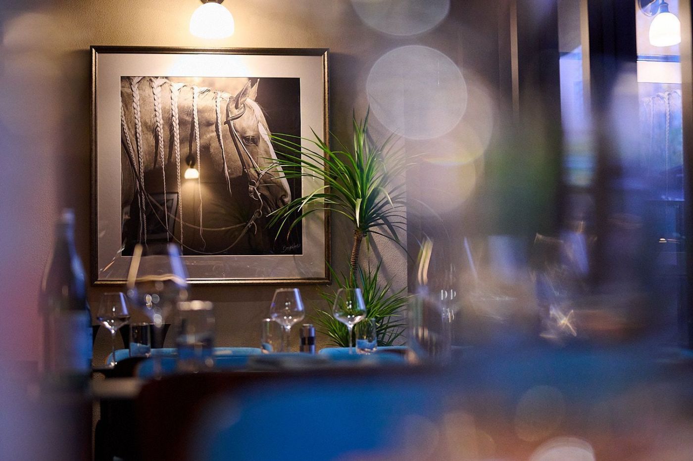 Latina Parrilla South American Steakhouse (Bingo Plaza) - 2