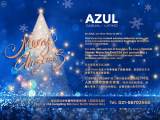 AZUL Christmas Dinner