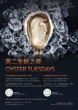 Oyster Tuesdays - Wine and Oyster Set 