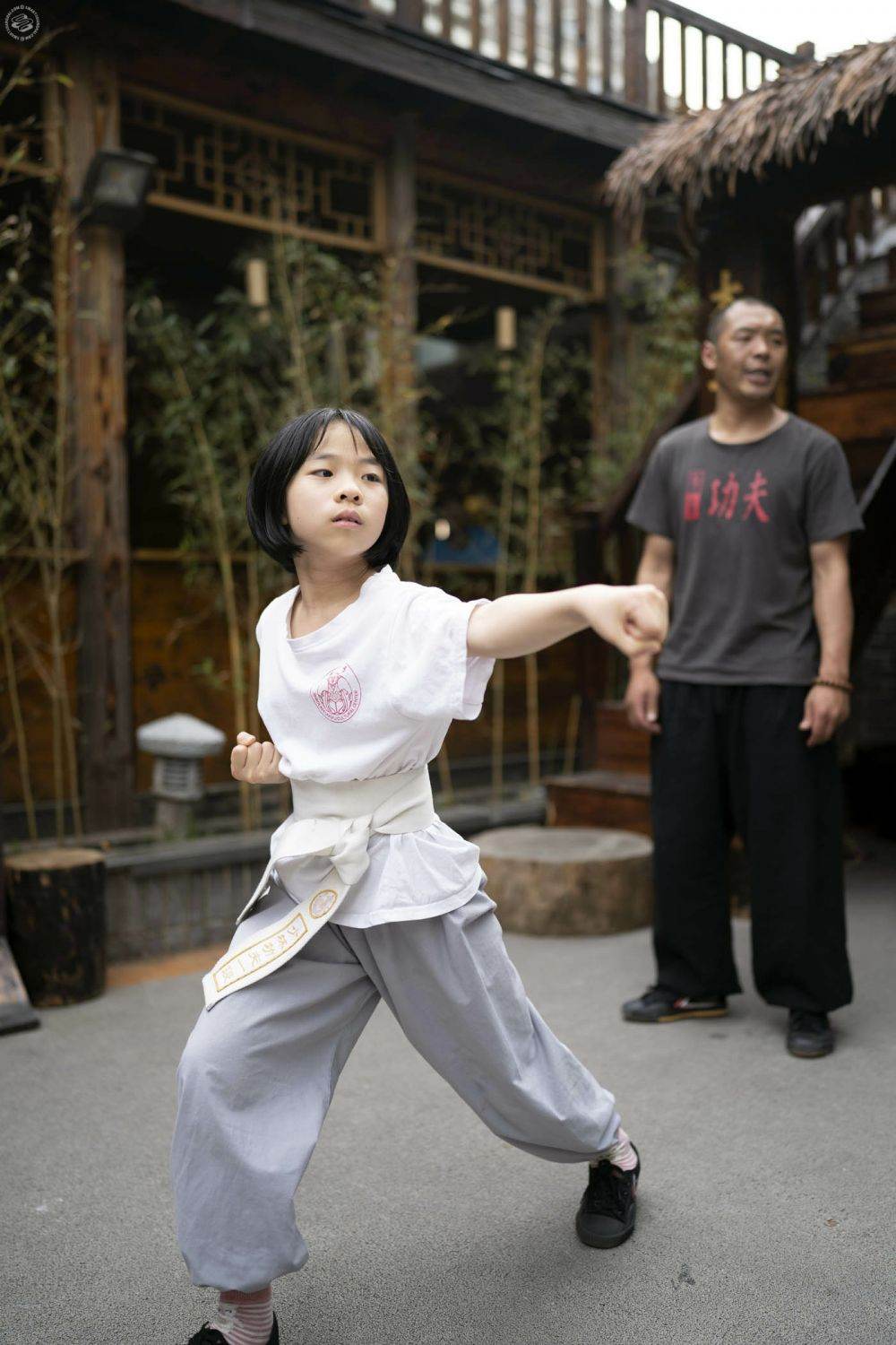 The New Shaolin Gong Fu Duanpin System