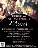 Professional Networking Mixer 
