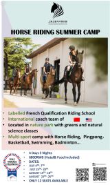 Horse Riding Summer Camp 