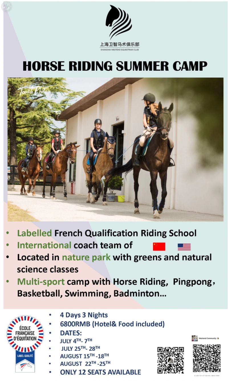 Horse Riding Summer Camp 