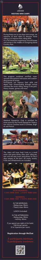 Horse Riding Mini-Camps: 1-2 Days