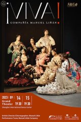  Flamenco Performance: '¡VIVA!’