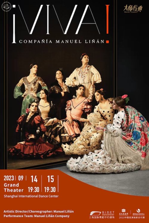  Flamenco Performance: '¡VIVA!’