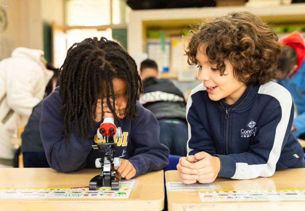 Educating the 'Whole' Child