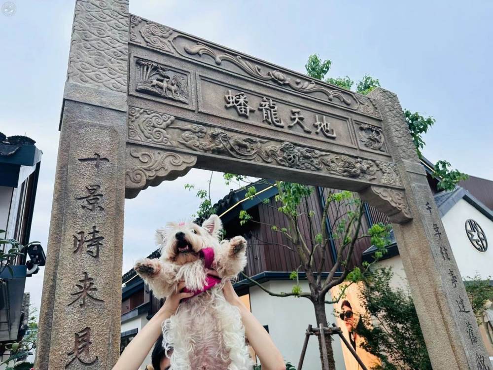 Pet Park in Panlong Tiandi