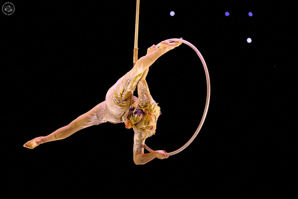 A One-of-a-Kind Show, Worldwide