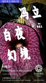 Feng Li: White Nights in Wonderland