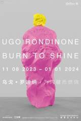 Ugo Rondinone: Burn to Shine