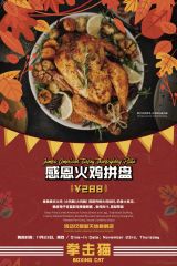 Boxing Cat Thanksgiving Turkey Sets