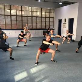 Hong Wu Chinese Kung Fu Centre