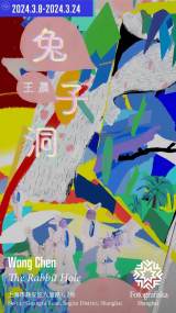 Wang Chen: The Rabbit Hole