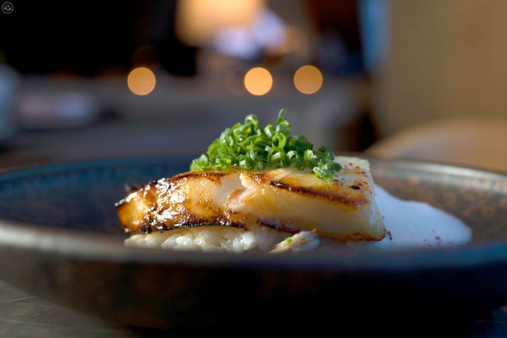 For Mains: Miso Marinated Atlantic Cod Fish